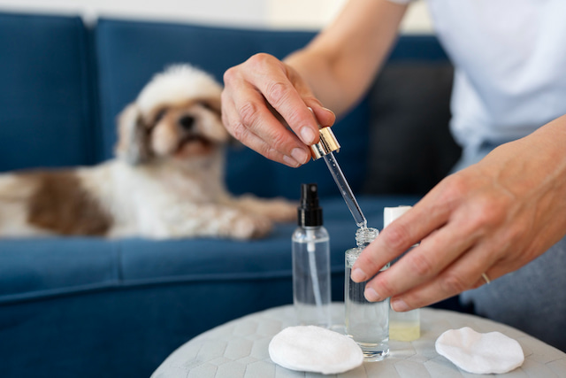 CBD ansiedad perros